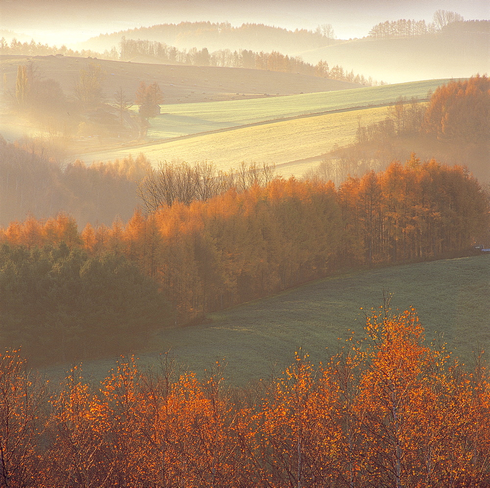 Autumn colors