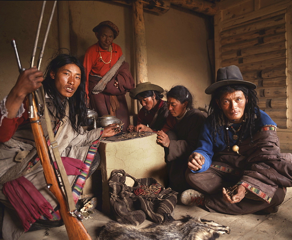 Tibetan nomads from central tibet profitting from selling yartsa gunbu, covetted aphrodiasic propoerties sold to chinese vendors in lhasa