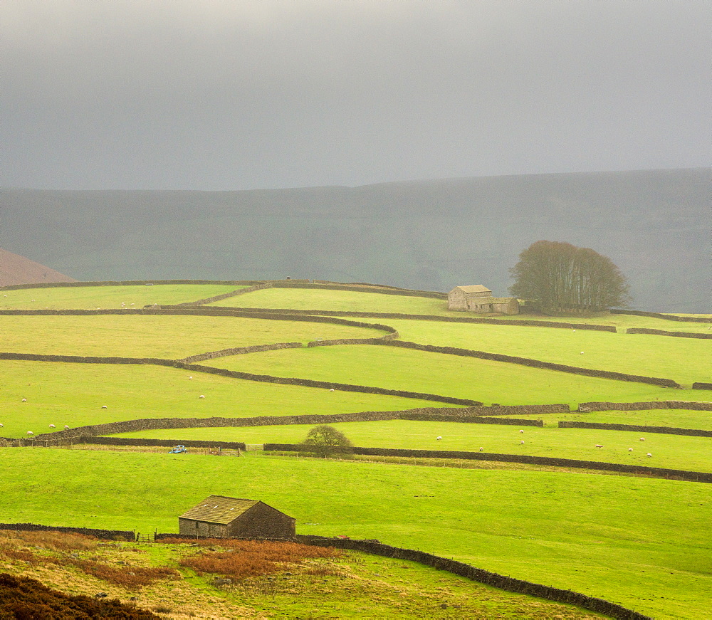 Mist above Bolton Abbey, Yorkshire Dales, Yorkshire, England, United Kingdom, Europe