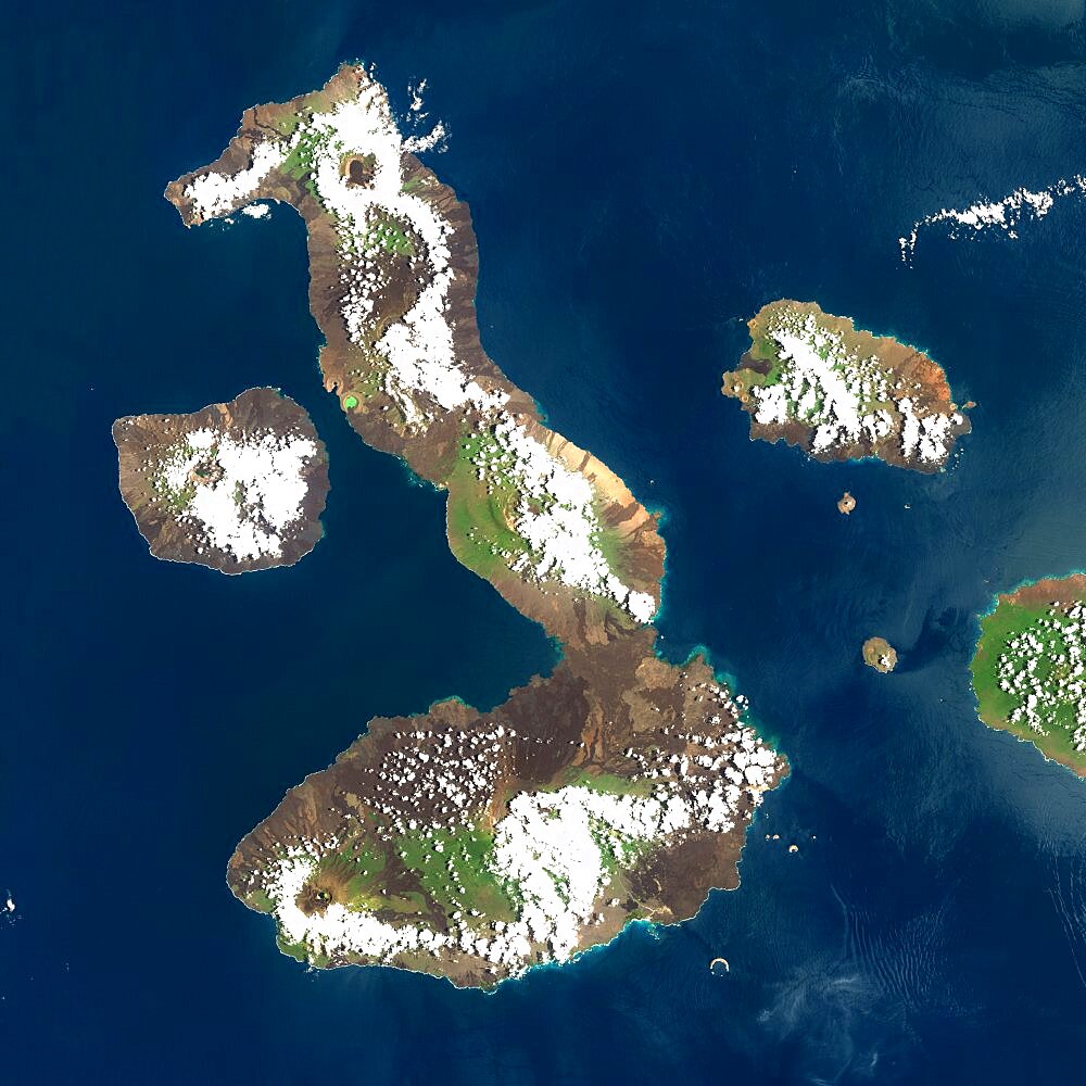 Galapagos Volcanoes, Ecuador, True Colour Satellite Image. Galapagos Archipelago, Ecuador, true colour satellite image. Galapagos Archipelago is situated 1000 km West of the Ecuadorian coast. The largest and most volcanically active island in the archipelago is Isabela (6 volcanoes). On the left of image, the island of Fernandina (one volcano). Image taken on 16 March 2001 using LANDSAT data. Print size 30 x 30 cm.