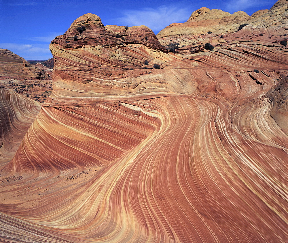 Rock formation known as Swirls on Colorado Plateau, Arizona, United States of America (U.S.A.), North America