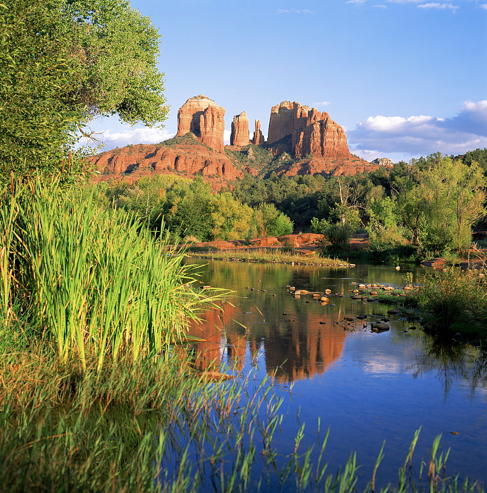 Cathedral Rock, Sedona, Arizona, United States of America (U.S.A.), North America