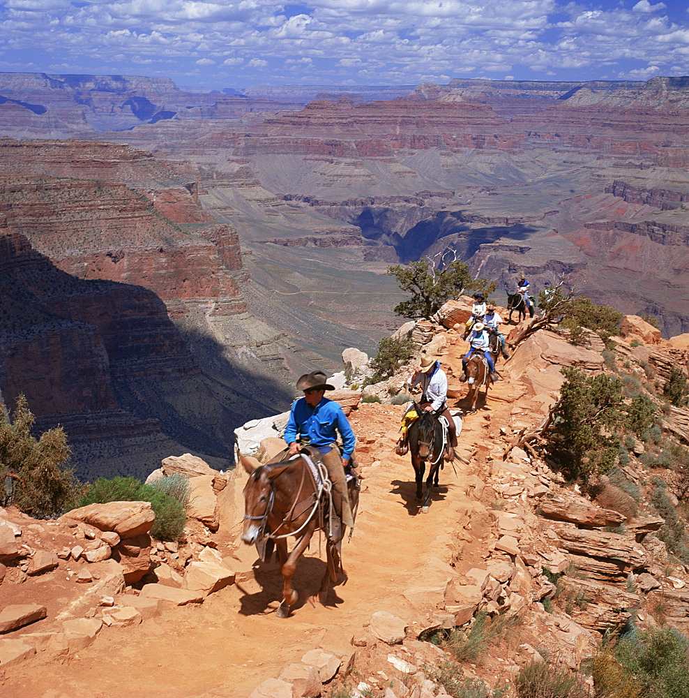 Returning on horseback, Grand Canyon, UNESCO World Heritage Site, Arizona, United States of America, North America