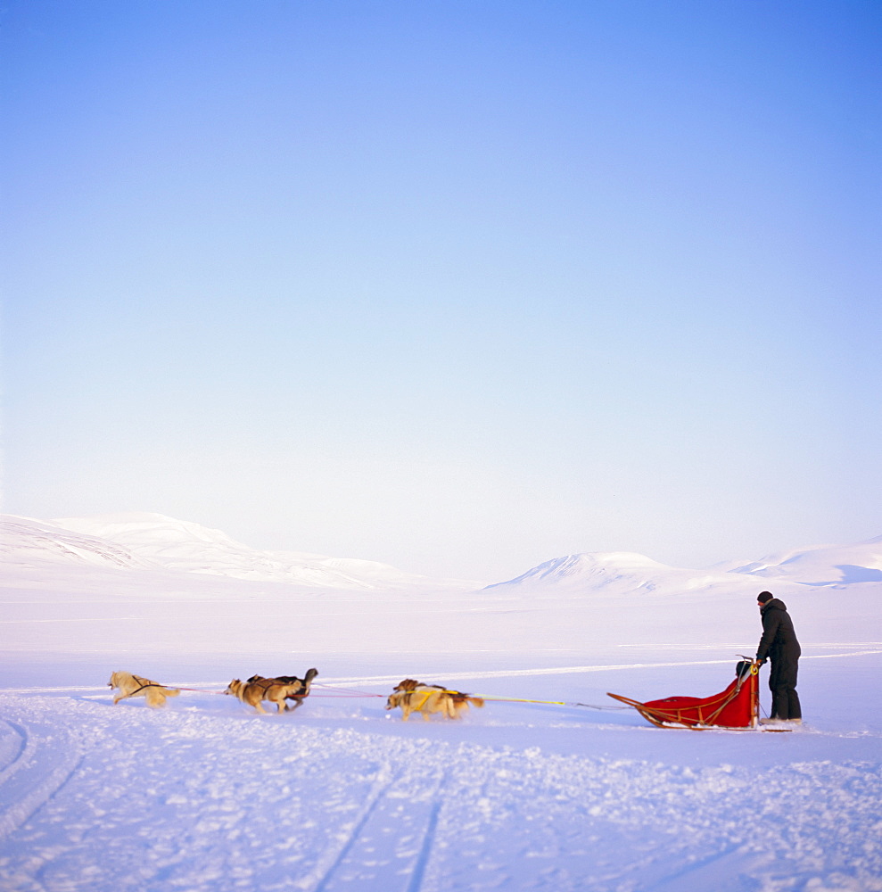 Husky dog sled team, Spitsbergen, Norway, Europe