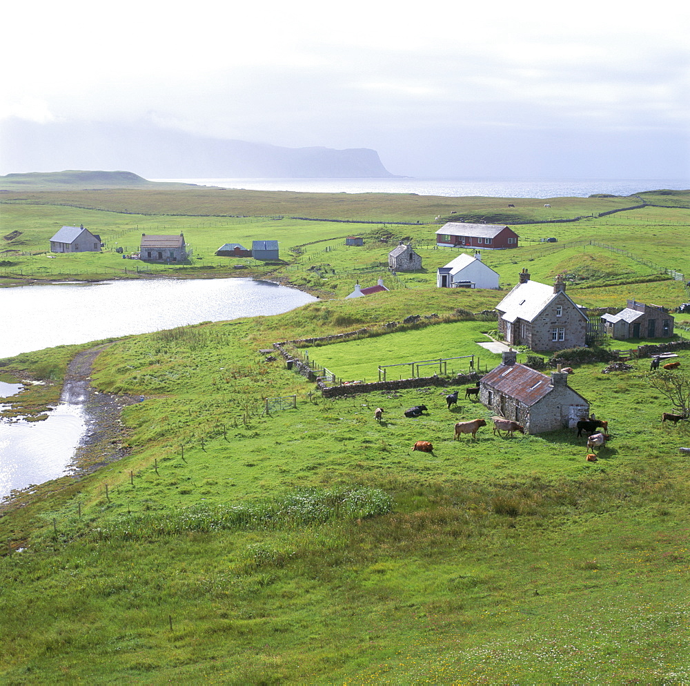 Crofts, Isle of Canna, Inner Hebrides, Scotland, United Kingdom, Europe