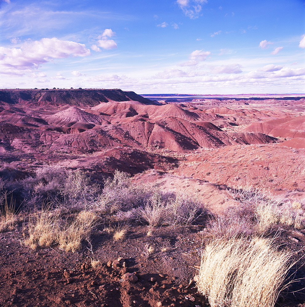 Painted Desert, north Arizona, United States of America, North America