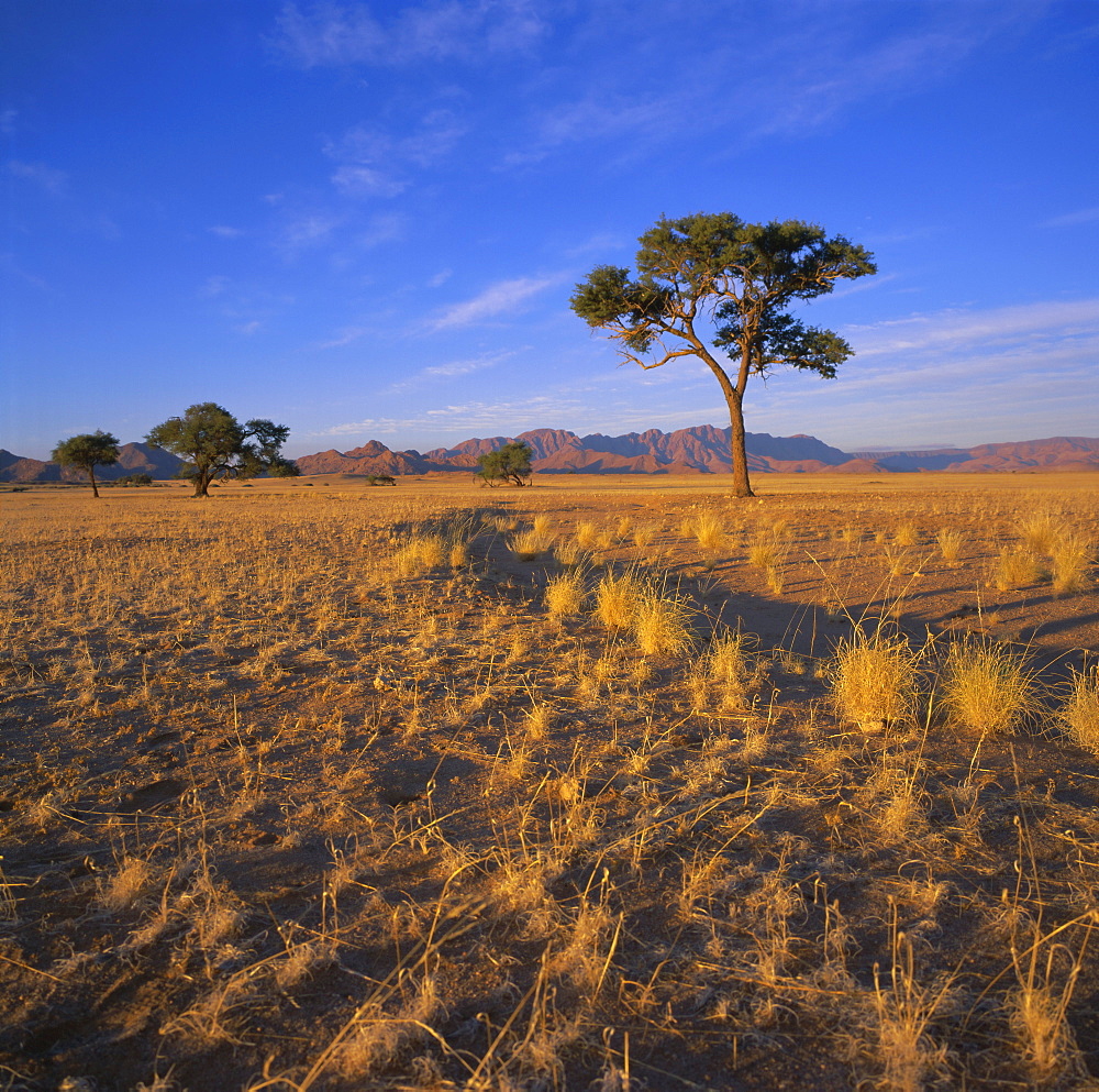 Sesriem, Namib Naukluft Park, Namibia, Africa