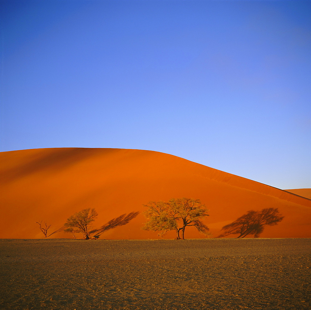 Sand dunes near Sossusvlei, Namib-Naukluft Park, Namibia