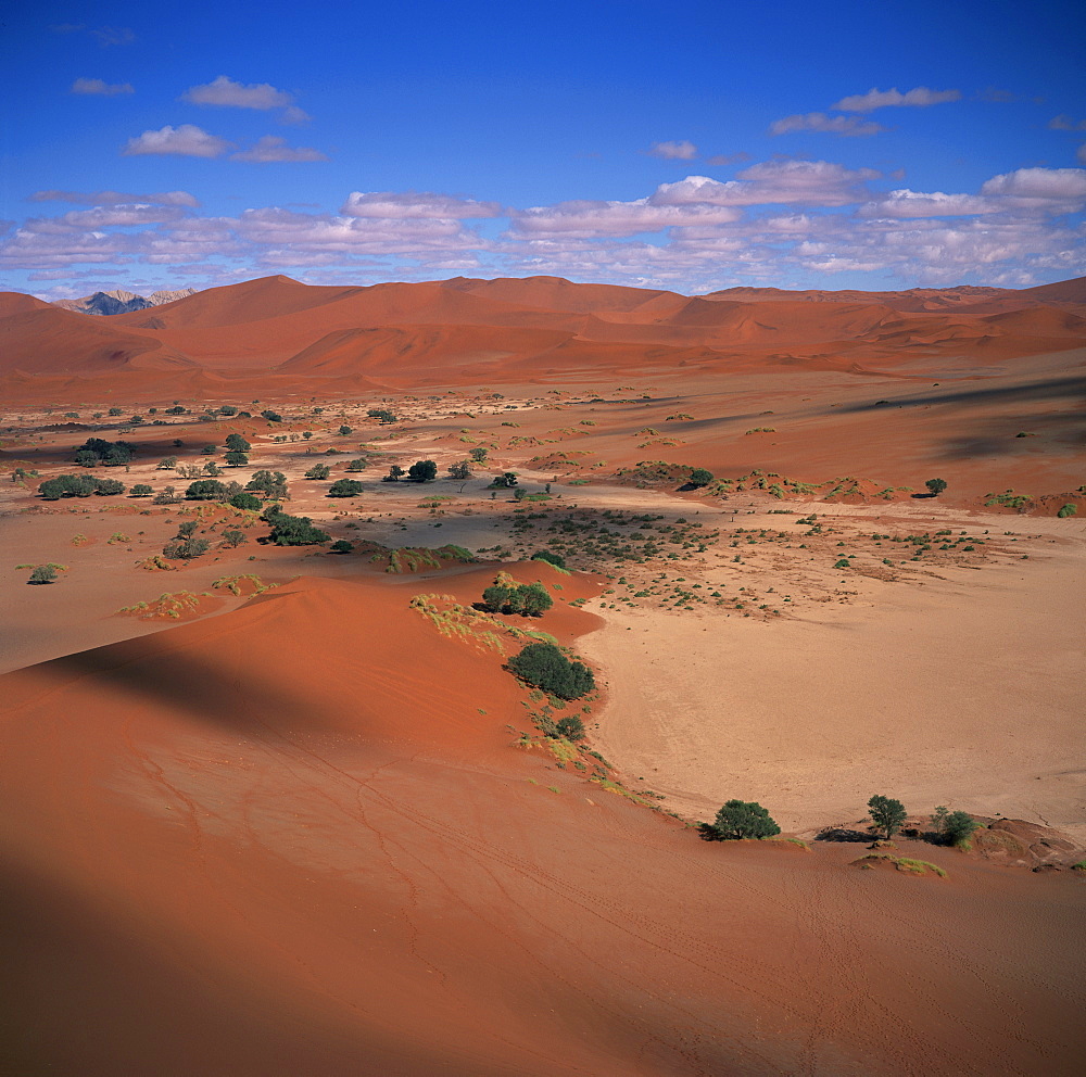 The Soussusvlei sand dunes in Naukluft Park in the Namib desert in Namibia, Africa