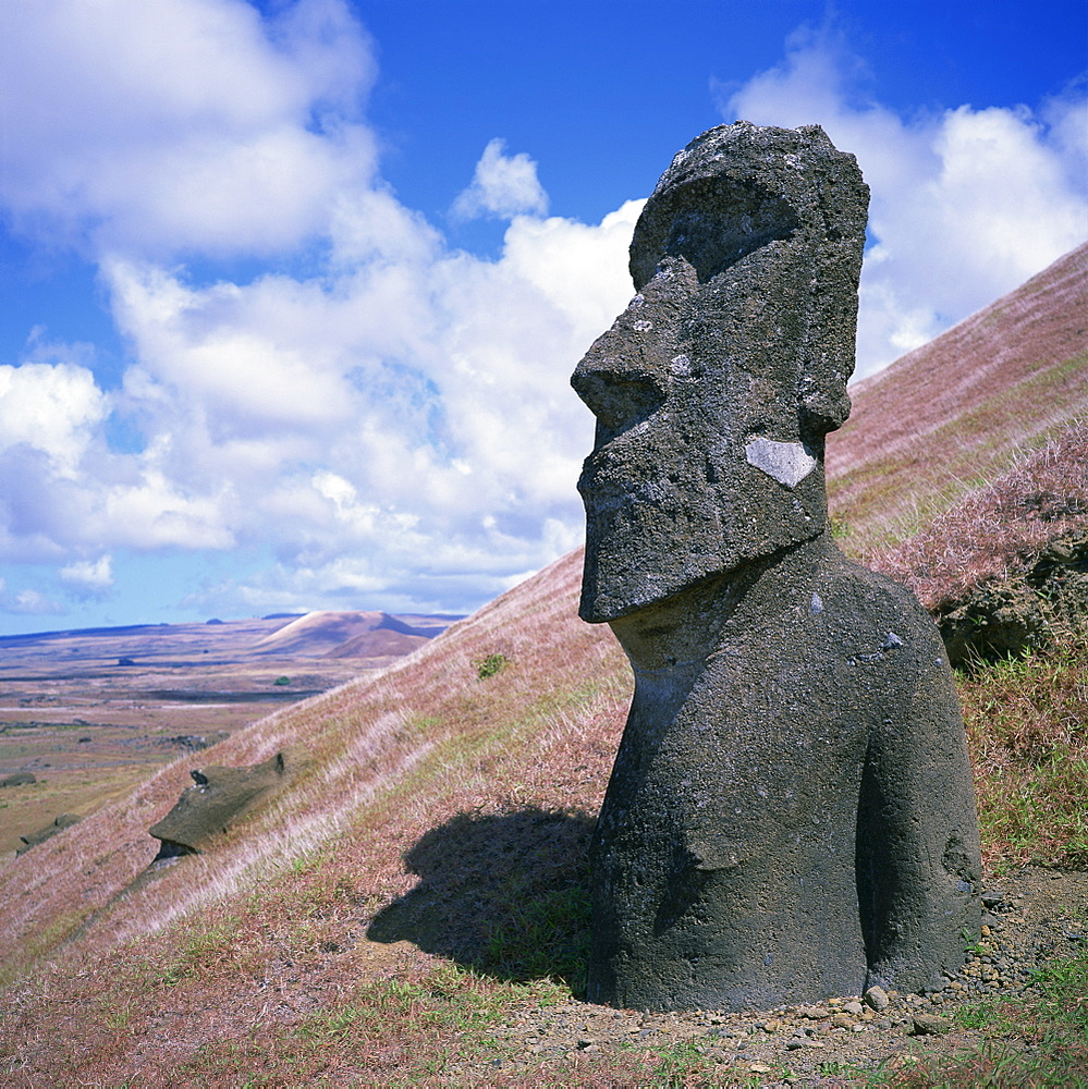 A moai or statue on the southern outer slopes of Volcan Rano Raraku on Easter Island (Rapa Nui), UNESCO World Heritage Site, Chile, Pacific, South America