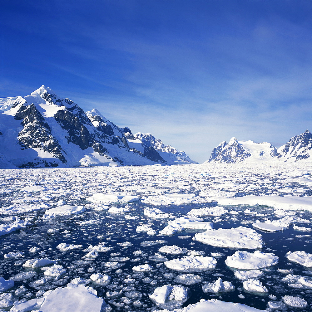 Loose pack ice in the sea, with the Antarctic Peninsula in the background, Antarctica, Polar Regions