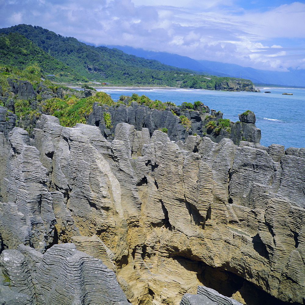 The Pancake Rocks at Punakaiki, West Coast District, South Island, New Zealand