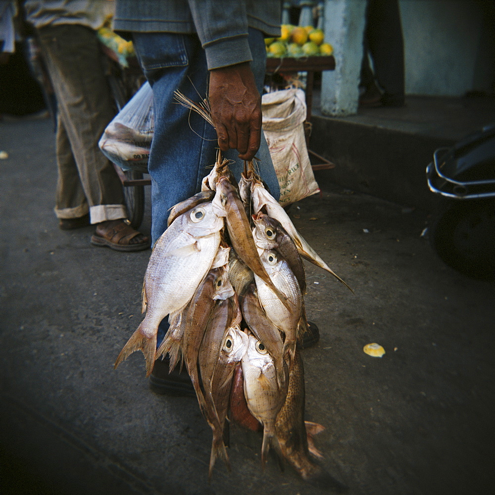 Fresh fish bundled with string, Stone Town, Zanzibar, Tanzania, East Africa, Africa