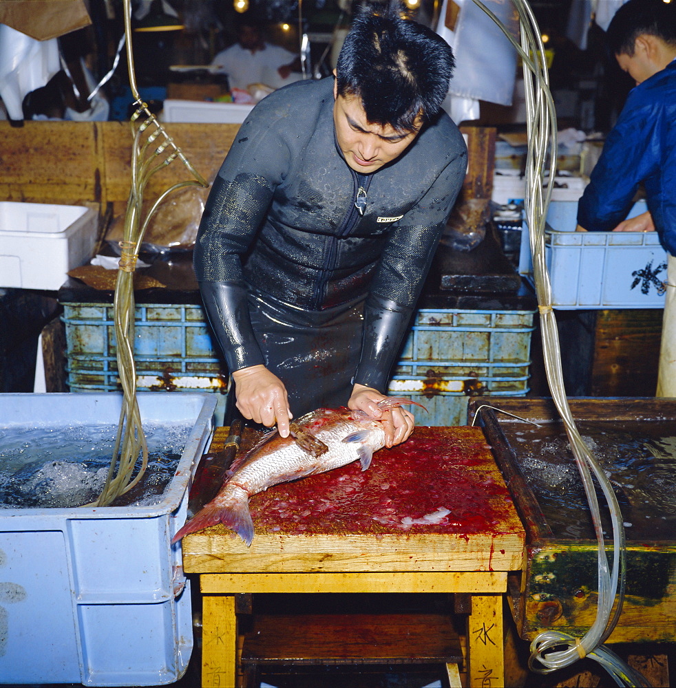 Cutting live fish, morning fish market, Tsukiji, Tokyo, Japan