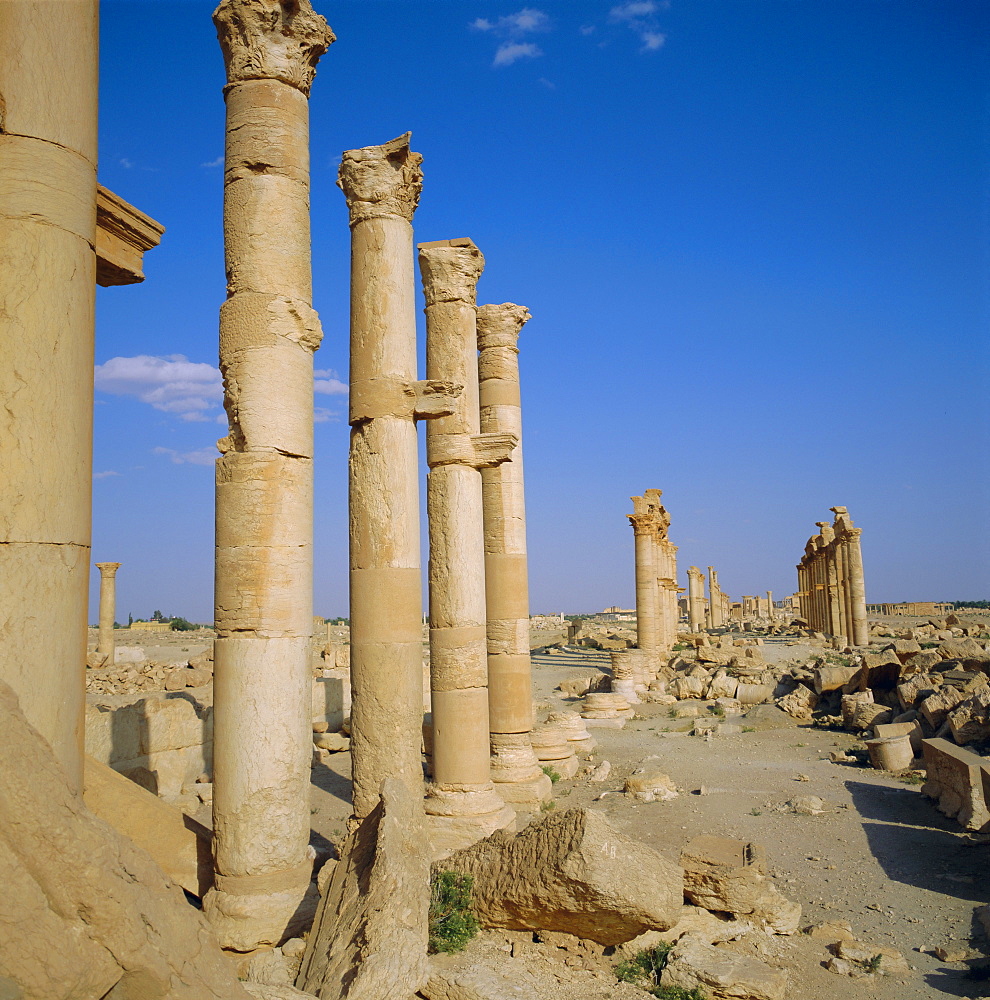 Columned main street, 1st century BC to 3rd century AD, Palmyra, Syria