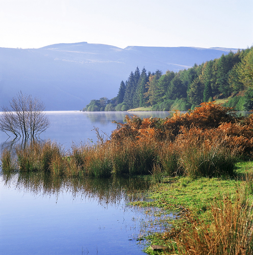 Talybont Reservoir, Brecon National Park, Powys, South Wales, Wales, United Kingdom, Europe