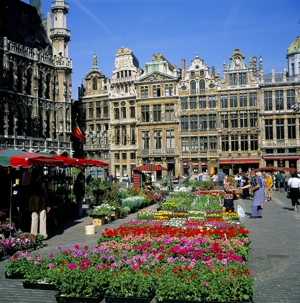 Grand Place, Brussels (Bruxelles), Belgium, Europe