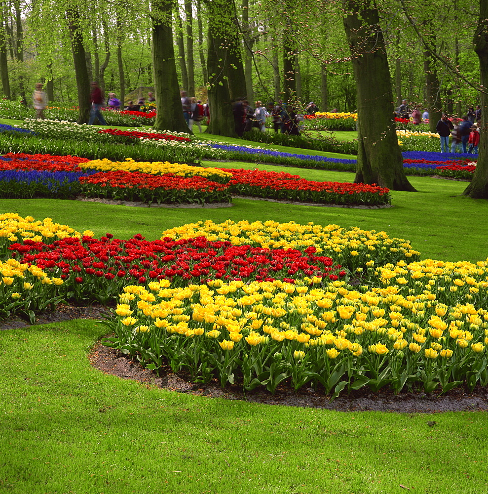 Keukenhof Gardens near Amsterdam, Holland, Europe