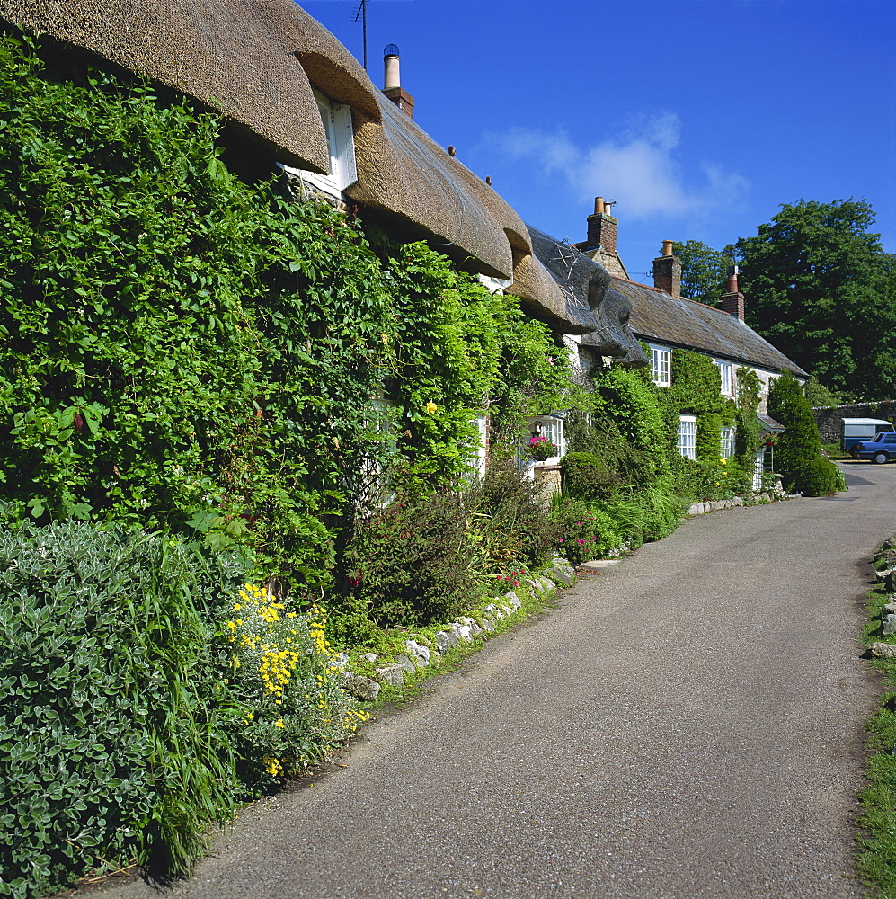 Winkle Street, Calbourne, Isle of Wight, England, United Kingdom, Europe