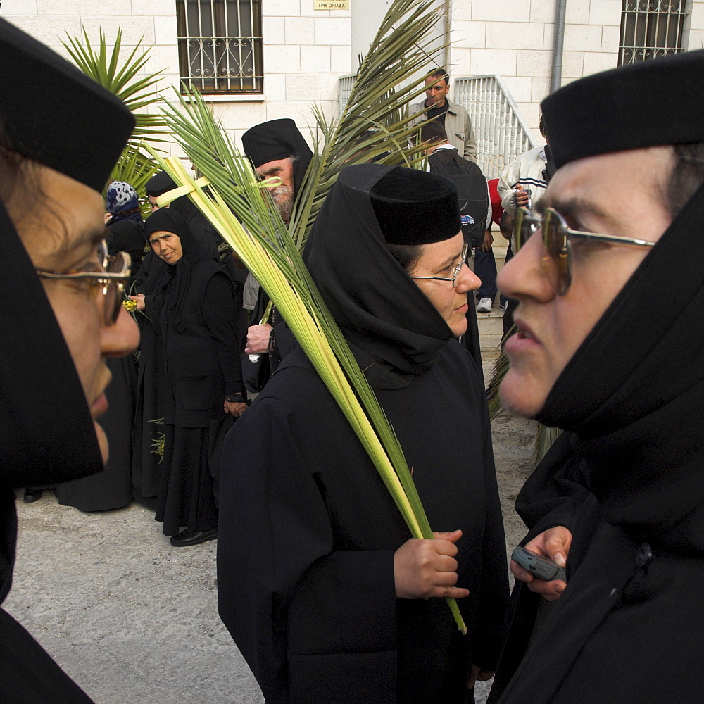 Three Greek nuns holding palms during Orthodox Easter Palm procession from Betphage to the Old City, Mount of Olives, Jerusalem, Israel, Middle East