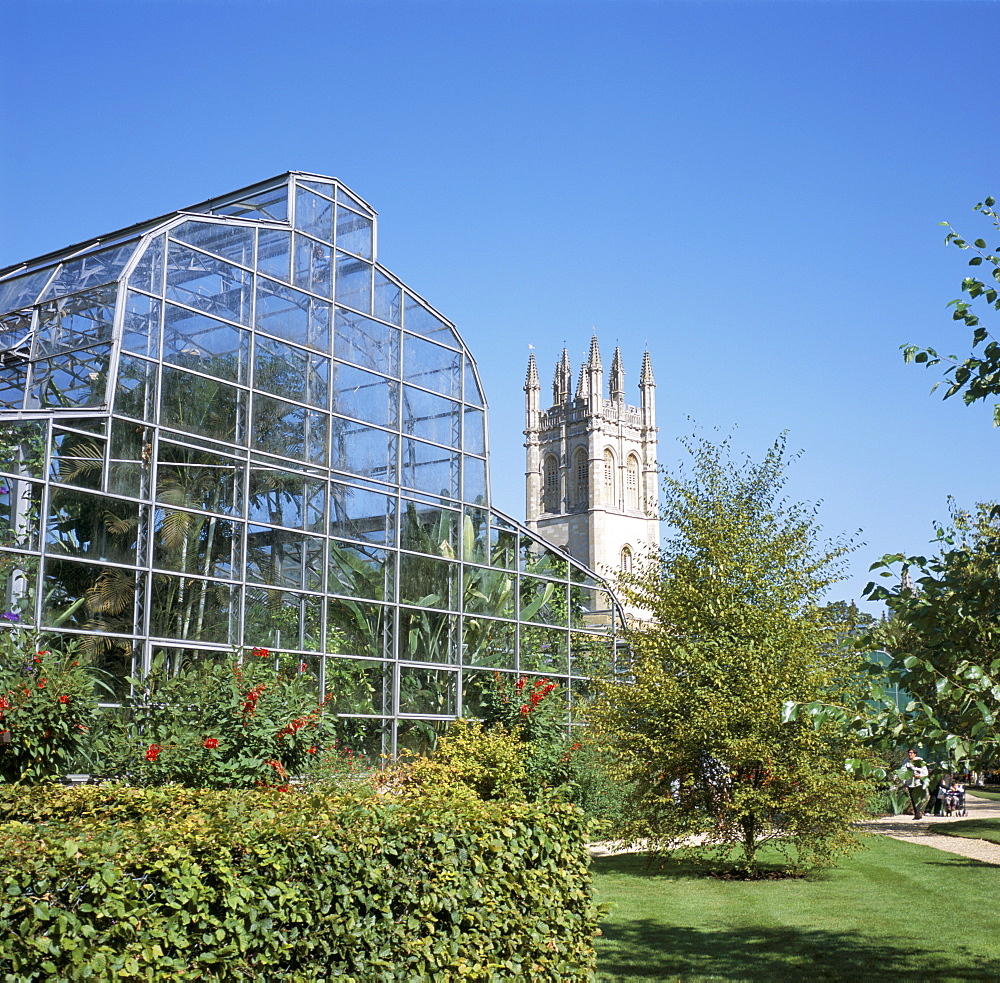 Glass house and Magdalen College Tower, Oxford Botanic Gardens, Oxford, Oxfordshire, England, United Kingdom, Europe