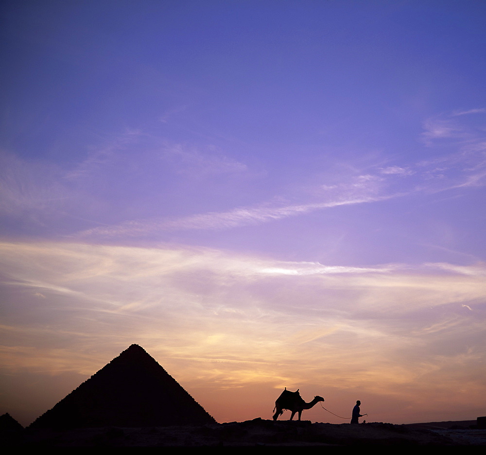 Camel and pyramid in silhouette, Giza, near Cairo, Egypt, North Africa, Africa