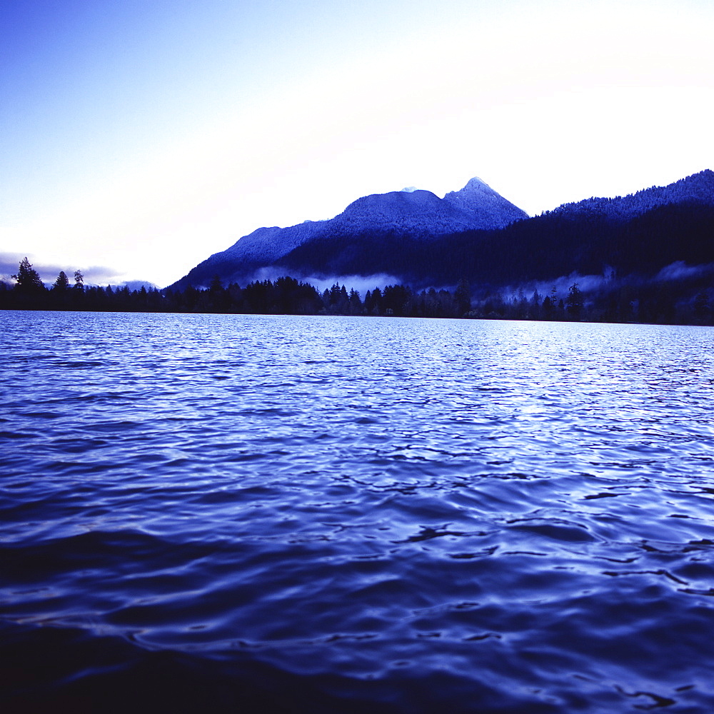 Water, trees, and mountains viewed from the waters of Lake Quinault, Olympic National Park, UNESCO World Heritage Site, Washington State, United States of America, North America