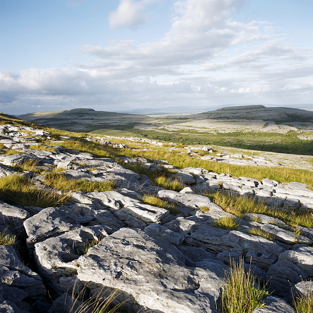 The Burren, County Clare, Munster, Republic of Ireland (Eire), Europe