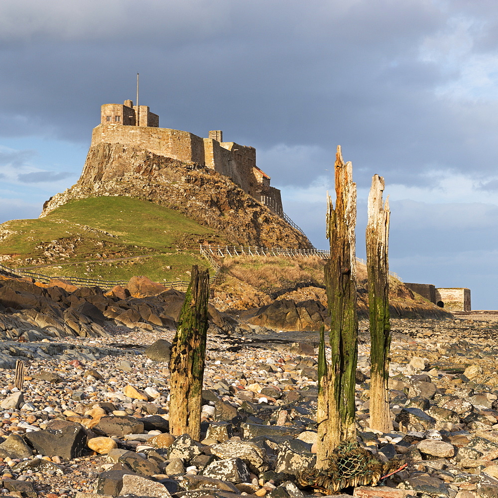 Lindisfarne Castle on Holy Island, Northumberland, England, United Kingdom, Europe 