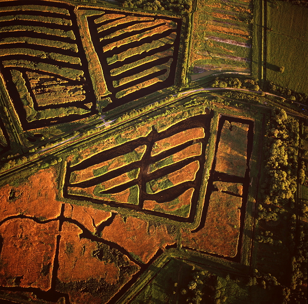 Aerial image of peat extraction, Westhay Moor, near Glastonbury, Somerset, England, United Kingdom, Europe