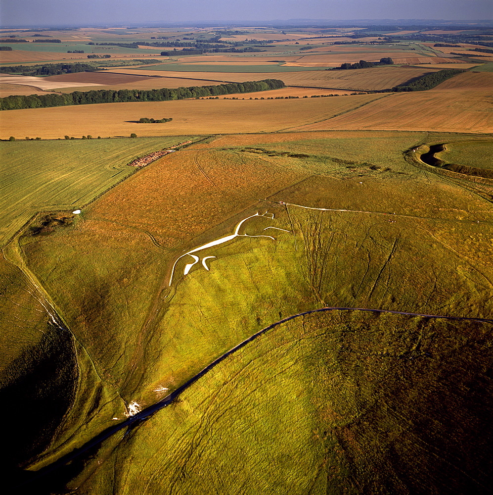 Aerial image of Uffington White Horse with Uffington Castle hill fort, Berkshire Downs, Vale of White Horse, Oxfordshire, England, United Kingdom, Europe