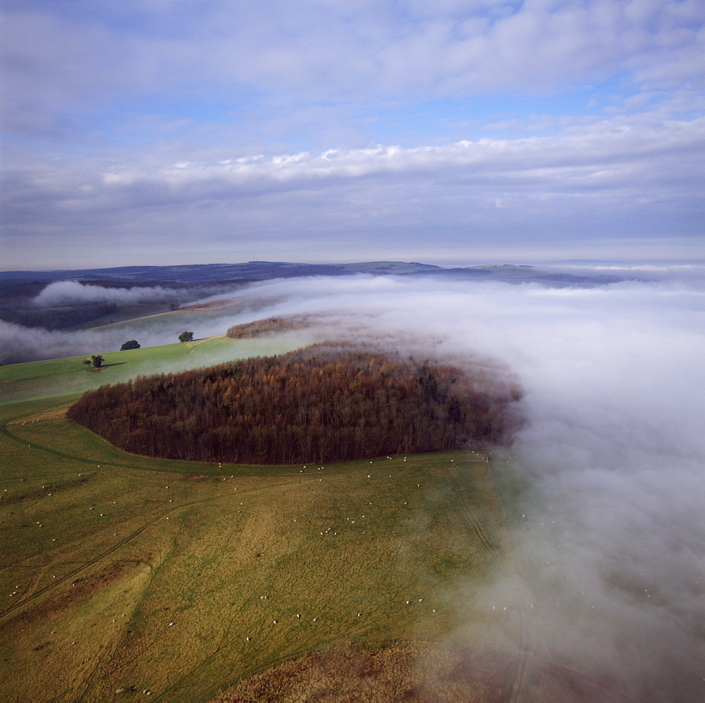 Aerial image of Arundel Park near Arundel Castle, South Downs, West Sussex, England, United Kingdom, Europe