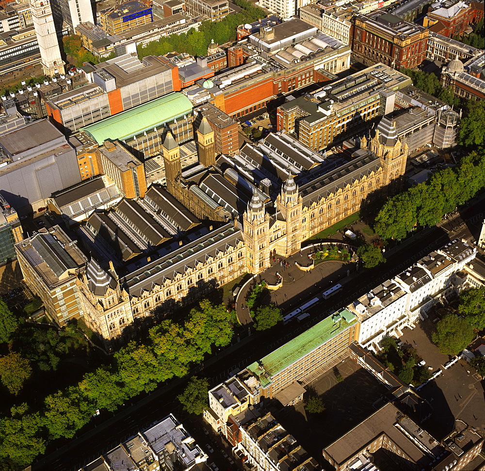 Aerial image of the Natural History Museum, Albertopolis, South Kensington, London, England, United Kingdom, Europe