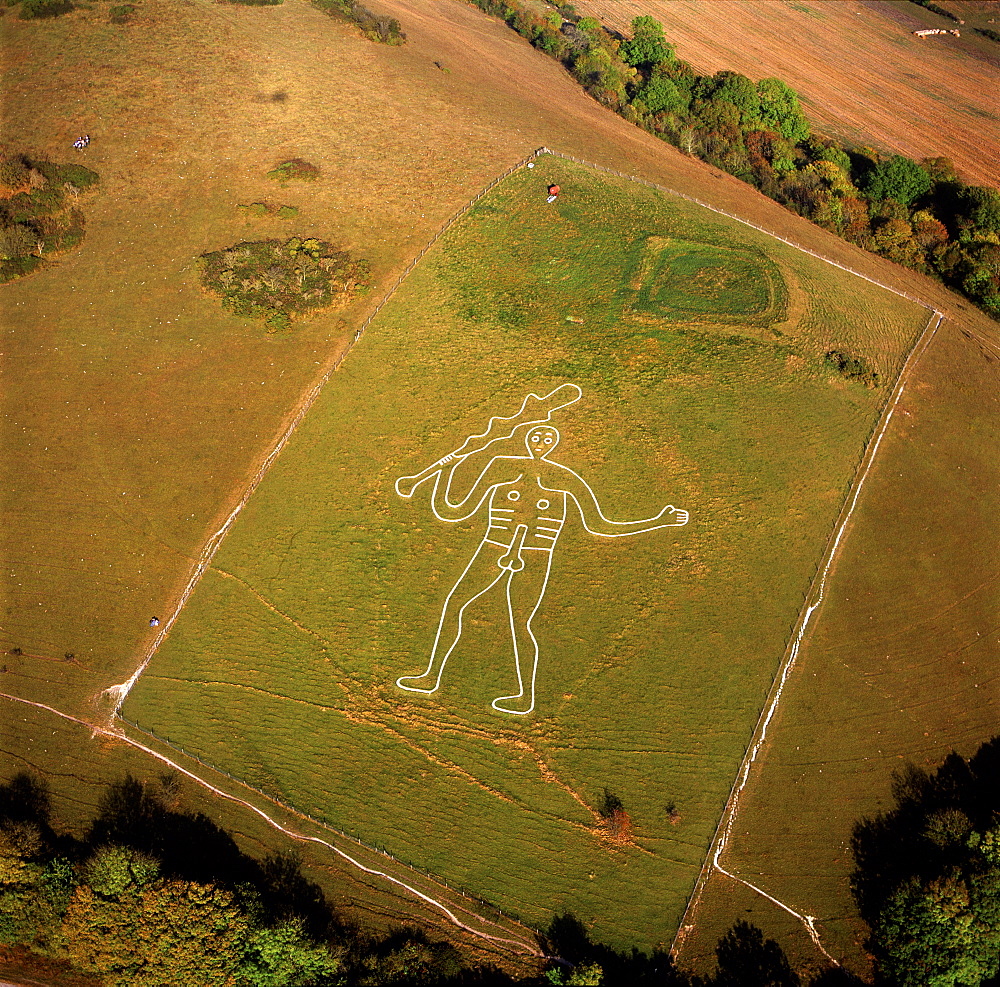 Aerial image of the Cerne Abbas Giant, Cerne Abbas, Dorset, England, United Kingdom, Europe