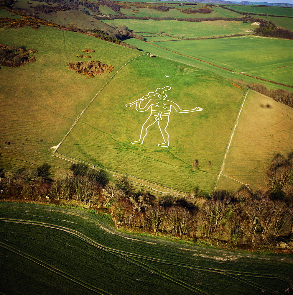 Aerial image of the Cerne Abbas Giant, Cerne Abbas, north of Dorchester, Dorset, England, United Kingdom, Europe