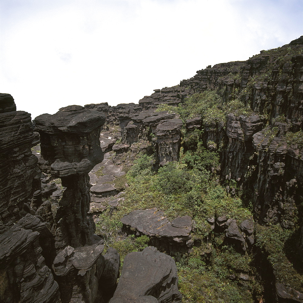 Erosion of sedimentary layers of sandstone near the Great Crack, Summit of Mount Kukenaam (Kukenan) (Cuguenan), Estado Bolivar, Venezuela, South America