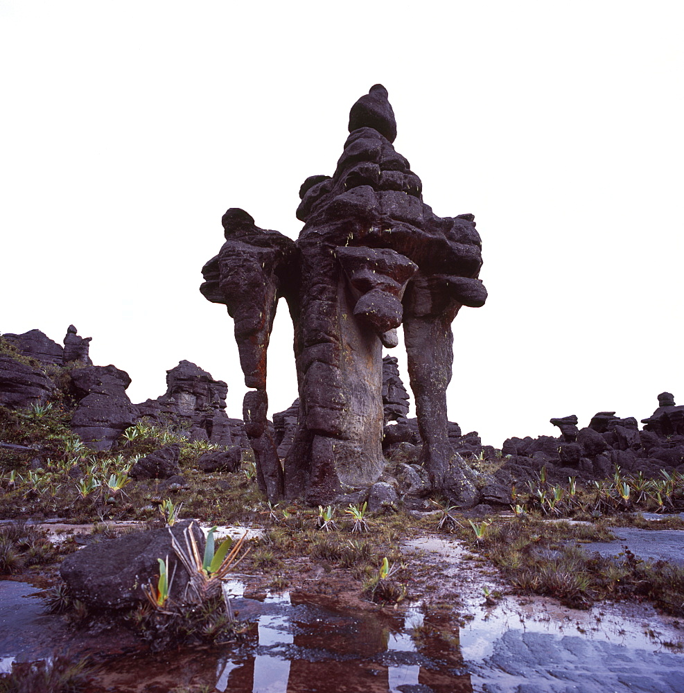 Rock formation on the summit of Mount Kukenaam (Kukenan) (Cuguenan), Estado Bolivar, Venezuela, South America