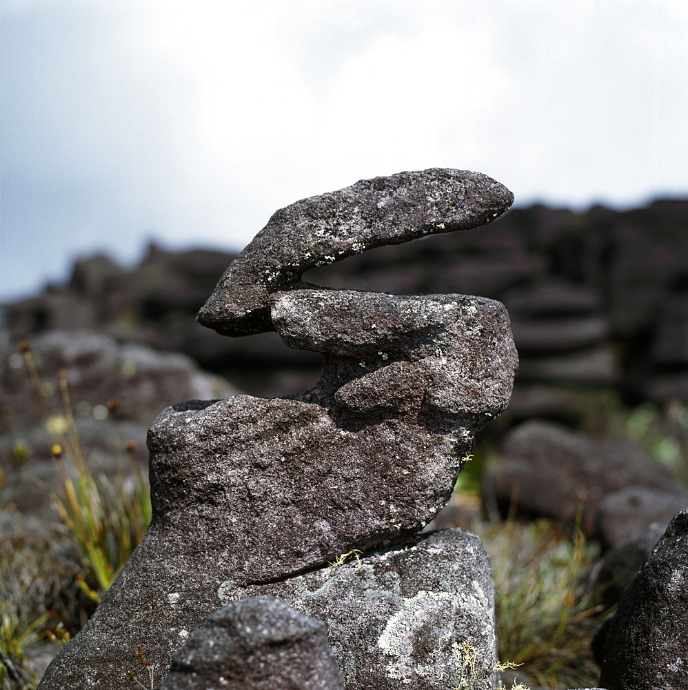 Eroded sandstone rock shape on summit of Mount Kukenaam (Kukenan) (Cuguenan), Estado Bolivar, Venezuela, South America