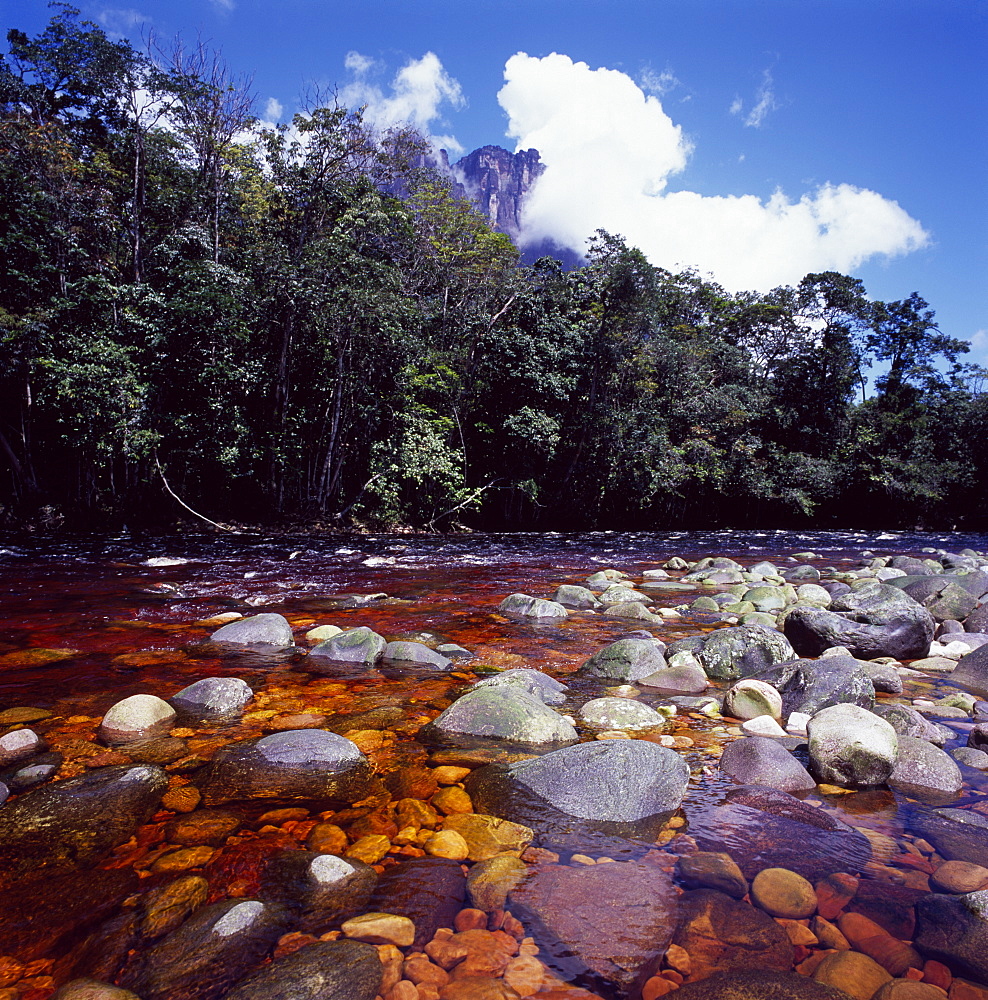 Churun River near base of Angel Falls, Churun Gorge, Auyantepui (Devil's Mountain), Canaima National Park, UNESCO World Heritage Site, Venezuela, South America