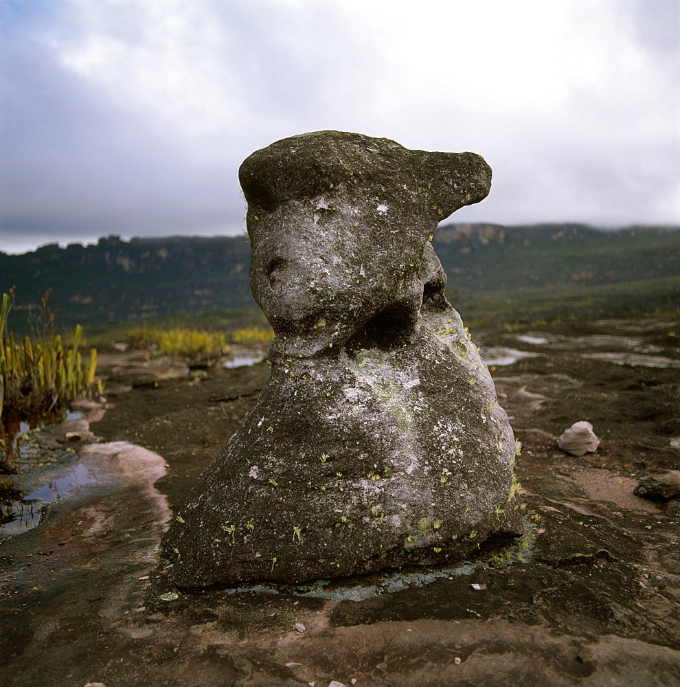 Oso rock (the bear), Auyantepui summit (Devil's Mountain), Canaima National Park, UNESCO World Heritage Site, Estado Bolivar, Venezuela, South America