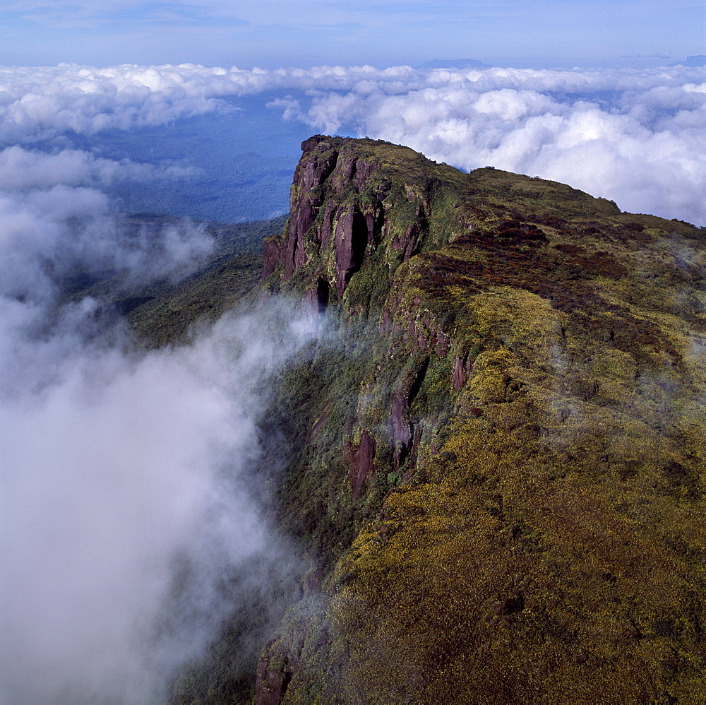 Aerial image of Ayanganna Mountain, Guyana, South America