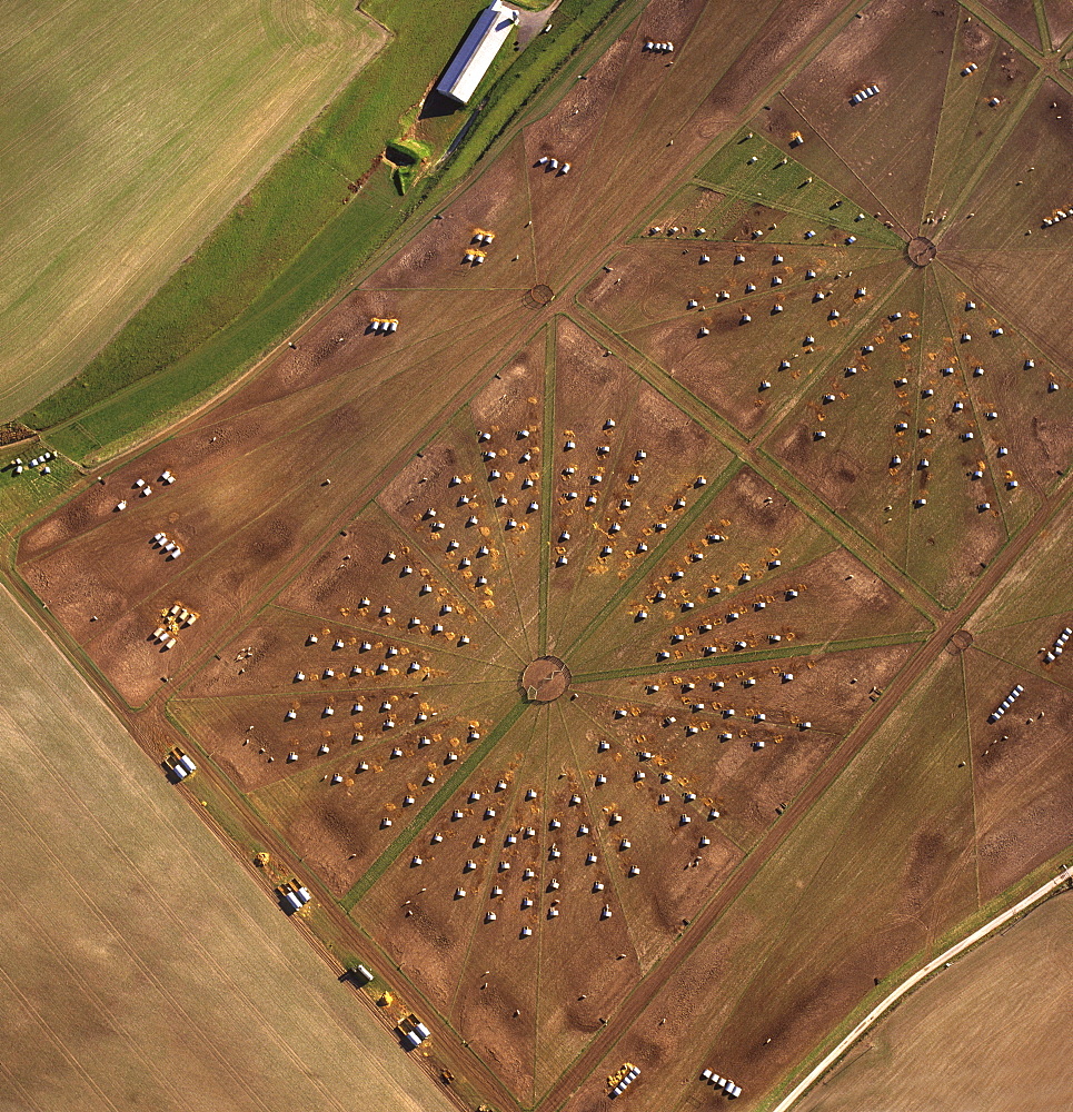 Aerial image of a pig farm, Wiltshire, England, United Kingdom, Europe