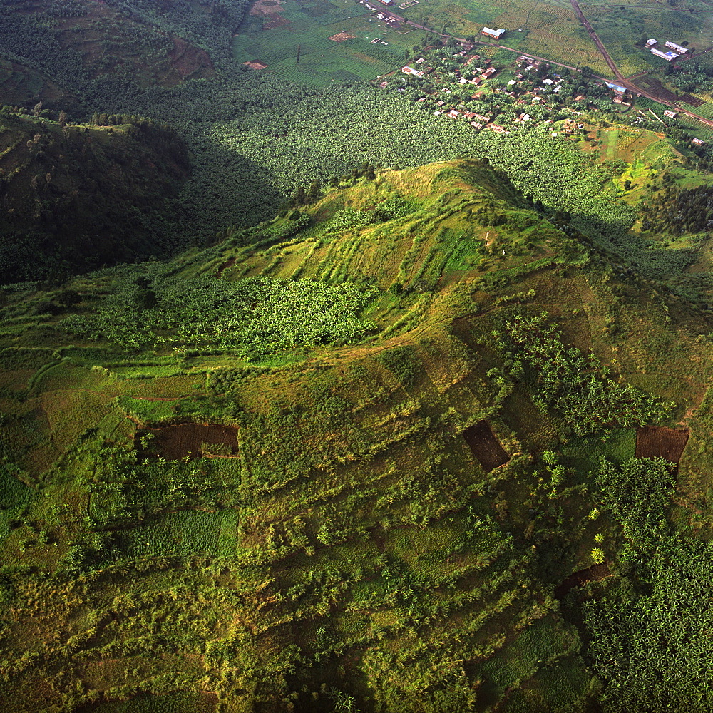 Aerial view of intensive agriculture on Virunga foothills, Rwanda, Africa