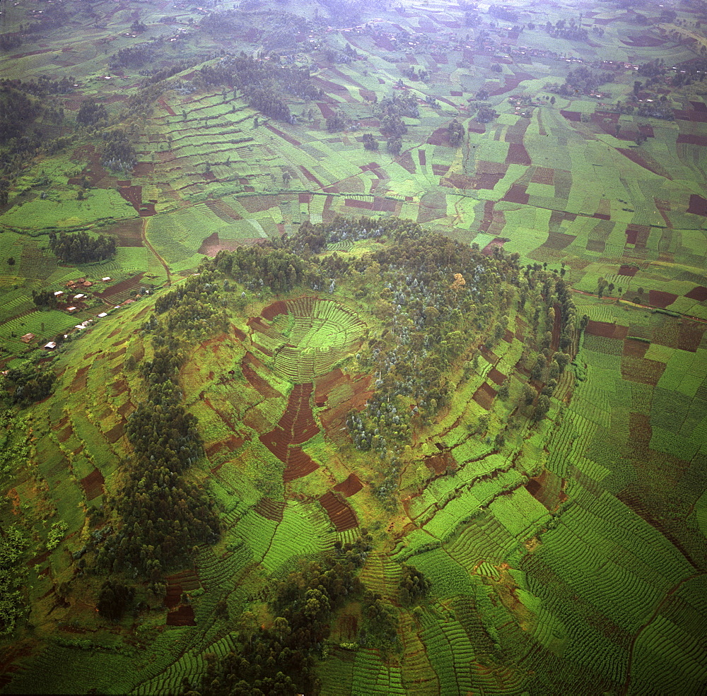 Aerial view of intensive agriculture on Virunga foothills, Rwanda, Africa