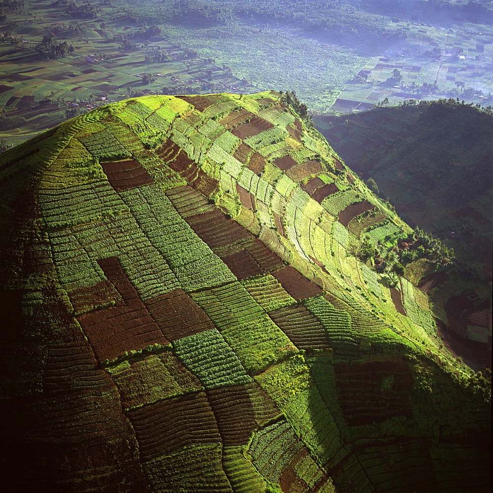 Aerial view of intensive agriculture on Virunga foothills, Democratic Republic of Congo, Africa