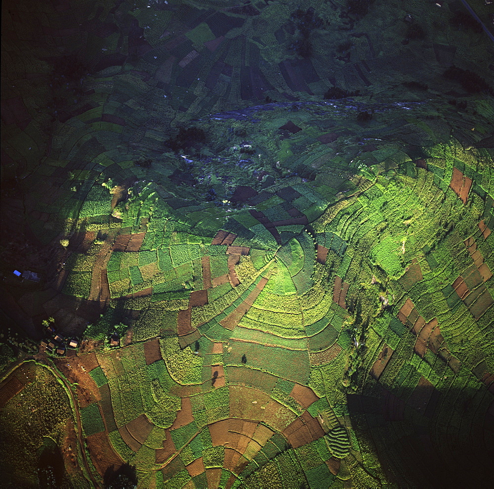 Aerial view of intensive agriculture in Rwanda, Africa