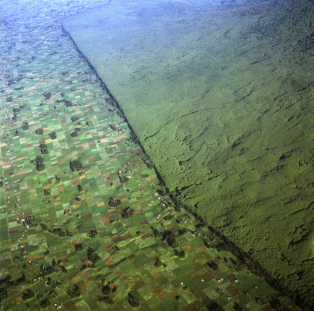 Aerial view of of Virunga National Park (Parc National des Volcans) showing the boundary of the park and agricultural land, Virunga Volcanoes, Rwanda, Africa