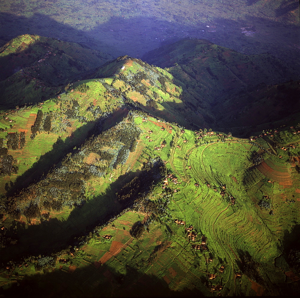 Aerial view of intensive agriculture in Rwanda, Africa