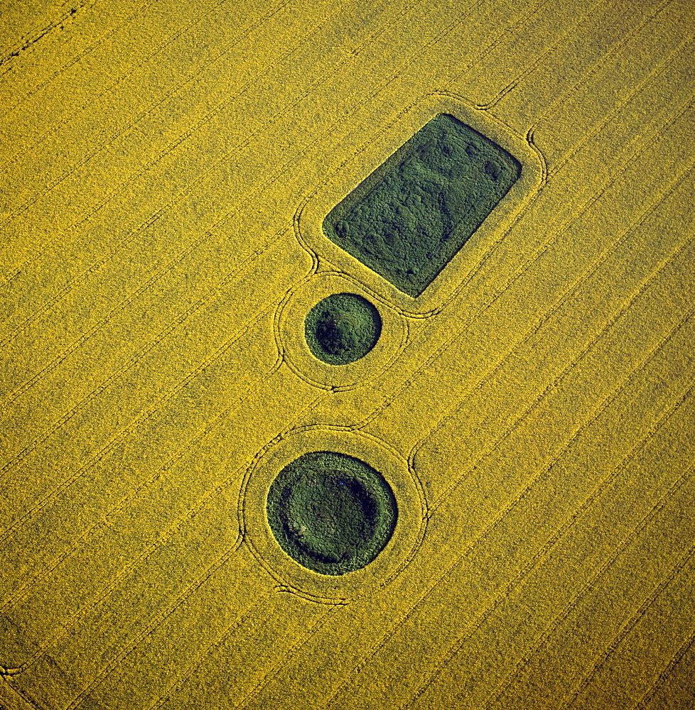 Aerial image of round and square Barrows at North Down in rape field, near Calstone Wellington, Wiltshire, England, United Kingdom, Europe