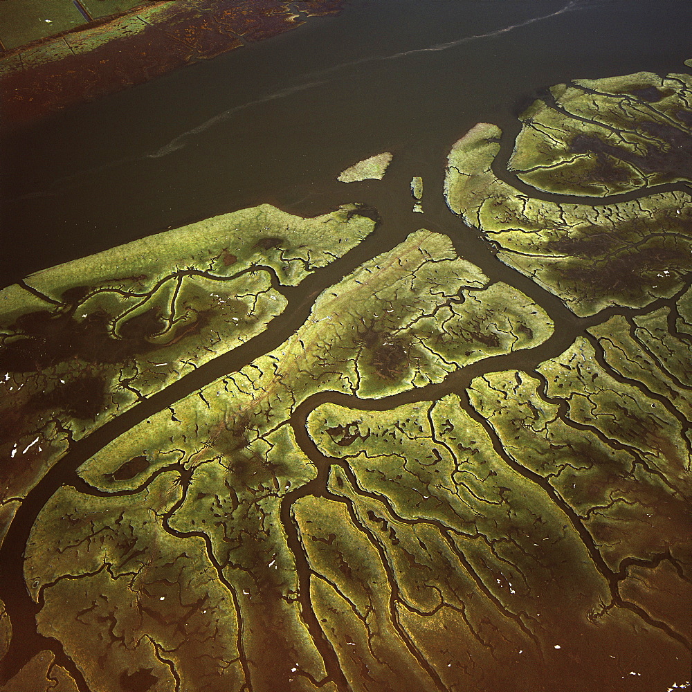 Aerial image of Salt Marsh on River Lune, Lancaster, Lancashire, England, United Kingdom, Europe